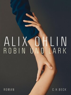 cover image of Robin und Lark